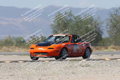 media/Oct-11-2025-Lucky Dog Racing (Sat) [[f5b53147c4]]/3-Second Stint/1-Turn 3/